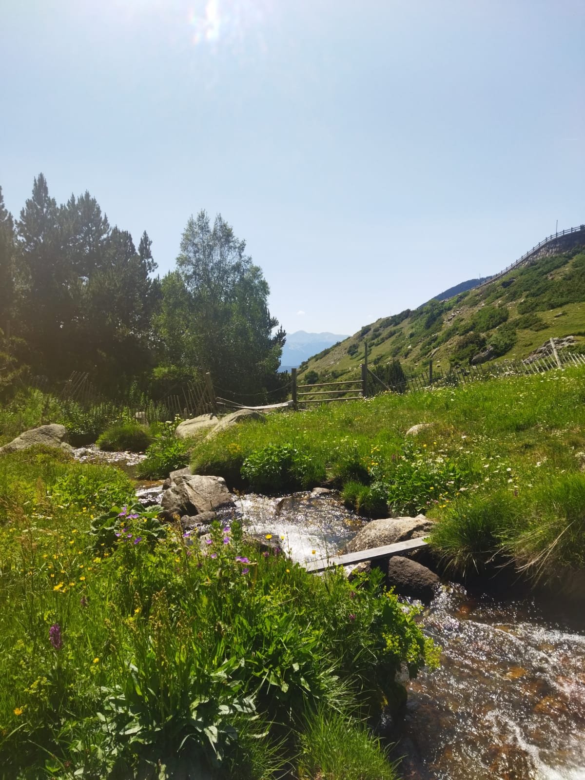 Naturaleza de Andorra